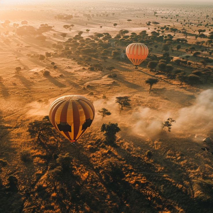 Serengeti safari