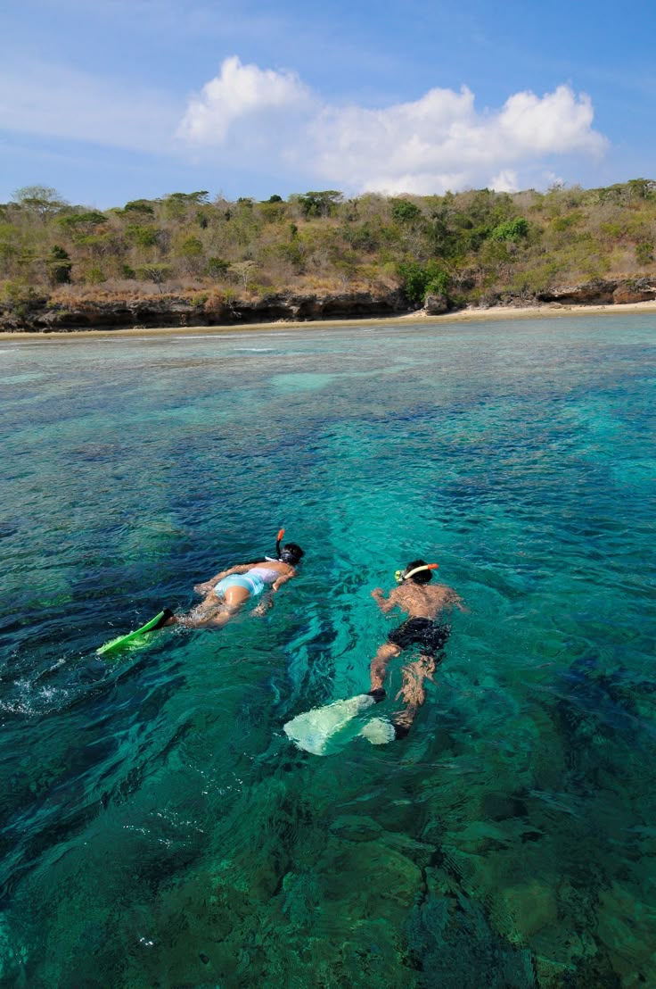 Whale shark snorkeling